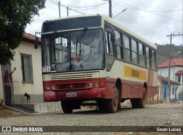 Van Transportes 7202 na cidade de Ataléia, Minas Gerais, Brasil, por Gean Lucas. ID da foto: 10608115.