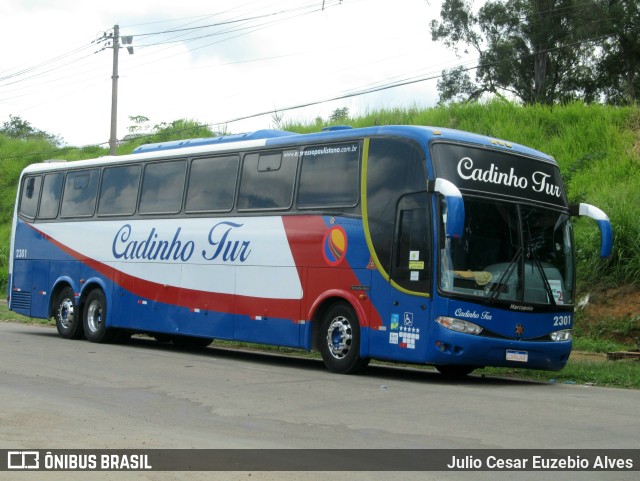 Cadinho Tur 2301 na cidade de Conselheiro Lafaiete, Minas Gerais, Brasil, por Julio Cesar Euzebio Alves. ID da foto: 10607843.