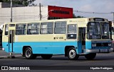 TUPI - Transportes Urbanos Piratininga 12 656 na cidade de Barueri, São Paulo, Brasil, por Hipólito Rodrigues. Número da foto: #:id.