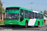 Buses Vule 0123 na cidade de San Bernardo, Maipo, Metropolitana de Santiago, Chile, por Franz Hecher. Número da foto: #10539617.