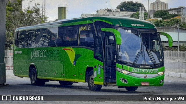 Pássaro Verde 19156 na cidade de Belo Horizonte, Minas Gerais, Brasil, por Pedro Henrique VM. Número da foto: #10616692.