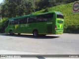 Pássaro Verde 15128 na cidade de Mariana, Minas Gerais, Brasil, por Paulo Luiz. Número da foto: #10617400.
