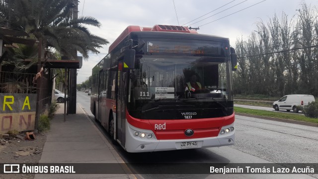 Buses Vule 1837 na cidade de Maipú, Santiago, Metropolitana de Santiago, Chile, por Benjamín Tomás Lazo Acuña. Número da foto: #10543938.