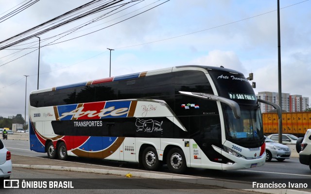 Arte Transportes e Turismo 20000 na cidade de São Paulo, São Paulo, Brasil, por Francisco Ivano. Número da foto: #10552330.