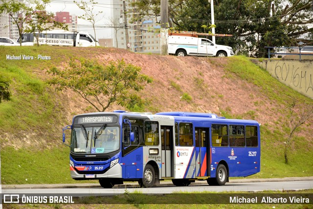 Del Rey Transportes 25.217 na cidade de Barueri, São Paulo, Brasil, por Michael  Alberto Vieira. ID da foto: 10551777.