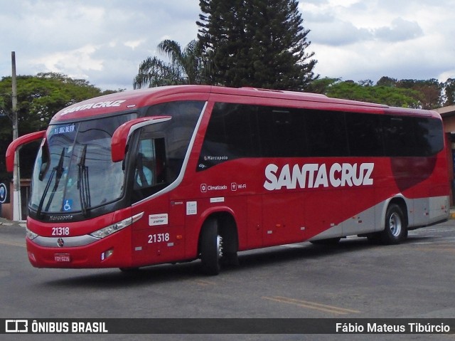 Viação Santa Cruz 21318 na cidade de Três Corações, Minas Gerais, Brasil, por Fábio Mateus Tibúrcio. Número da foto: #10553331.