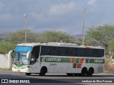 Empresa Gontijo de Transportes 14565 na cidade de Caruaru, Pernambuco, Brasil, por Lenilson da Silva Pessoa. Número da foto: #10553560.