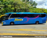 Rápido Expresso Fênix Viação 37025 na cidade de São Paulo, São Paulo, Brasil, por Diego Cardoso da Silva. Número da foto: #10553982.