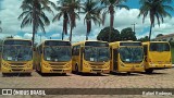 Pruden Express 1210 na cidade de Presidente Prudente, São Paulo, Brasil, por Rafael Rodenas. ID da foto: :id.