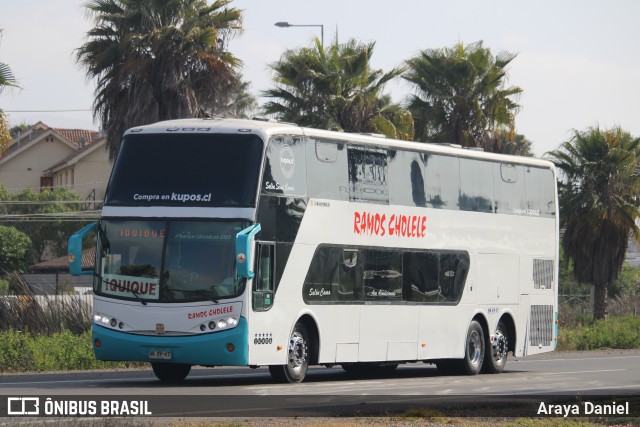 Ramos Cholele  na cidade de Coquimbo, Elqui, Coquimbo, Chile, por Araya Daniel . Número da foto: #10653169.