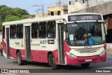 Guajará AI-32107 na cidade de Belém, Pará, Brasil, por Fabio Soares. Número da foto: #10655216.