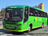 Pássaro Verde 20176 na cidade de Belo Horizonte, Minas Gerais, Brasil, por Kelvin Silva Caovila Santos. ID da foto: :id.