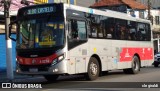 Allibus Transportes 4 5214 na cidade de São Paulo, São Paulo, Brasil, por cle giraldi. Número da foto: #10664991.