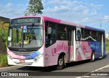 Padova Coletivos 3563 na cidade de Campinas, São Paulo, Brasil, por Julio Medeiros. Número da foto: #10663928.