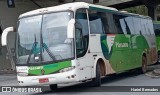 Pássaro Verde 29020 na cidade de Belo Horizonte, Minas Gerais, Brasil, por Hariel Bernades. Número da foto: #10663972.
