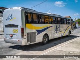 Art Turismo 3022 na cidade de Dias d`Ávila, Bahia, Brasil, por Deivisson Sousa. Número da foto: #10666293.