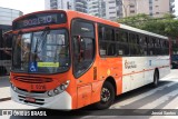 TRANSPPASS - Transporte de Passageiros 8 0316 na cidade de São Paulo, São Paulo, Brasil, por Jessé Santos. Número da foto: #:id.