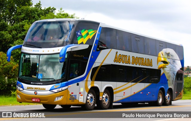 Águia Dourada 2028 na cidade de Barra do Piraí, Rio de Janeiro, Brasil, por Paulo Henrique Pereira Borges. Número da foto: #10681038.