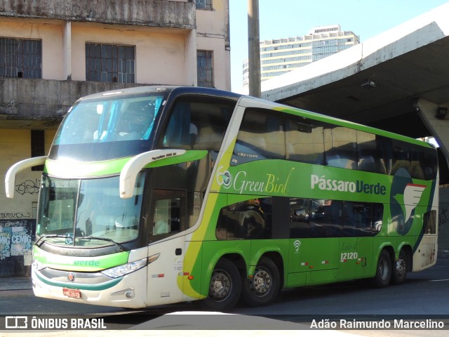 Pássaro Verde 12120 na cidade de Belo Horizonte, Minas Gerais, Brasil, por Adão Raimundo Marcelino. ID da foto: 10680222.