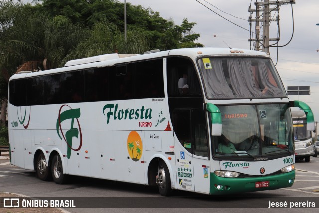 Floresta Turismo 1000 na cidade de São Paulo, São Paulo, Brasil, por jessé pereira. Número da foto: #10680364.