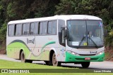 Turin Transportes 1260 na cidade de Conselheiro Lafaiete, Minas Gerais, Brasil, por Lucas Oliveira. Número da foto: #10680347.