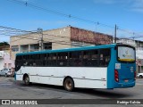 Ônibus Particulares 8266 na cidade de Natal, Rio Grande do Norte, Brasil, por Rodrigo Galvão. ID da foto: :id.