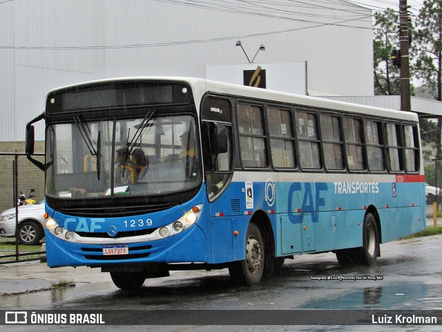 CAF Transportes 1239 na cidade de Juiz de Fora, Minas Gerais, Brasil, por Luiz Krolman. Número da foto: #10683737.