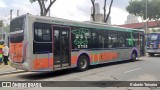 TRANSPPASS - Transporte de Passageiros 8 1150 na cidade de São Paulo, São Paulo, Brasil, por Roberto Teixeira. Número da foto: #10686474.