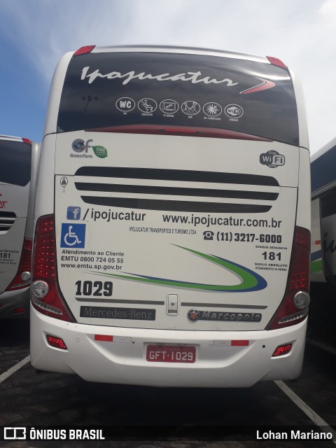 Ipojucatur 1029 na cidade de Vinhedo, São Paulo, Brasil, por Lohan Mariano. Número da foto: #10689958.
