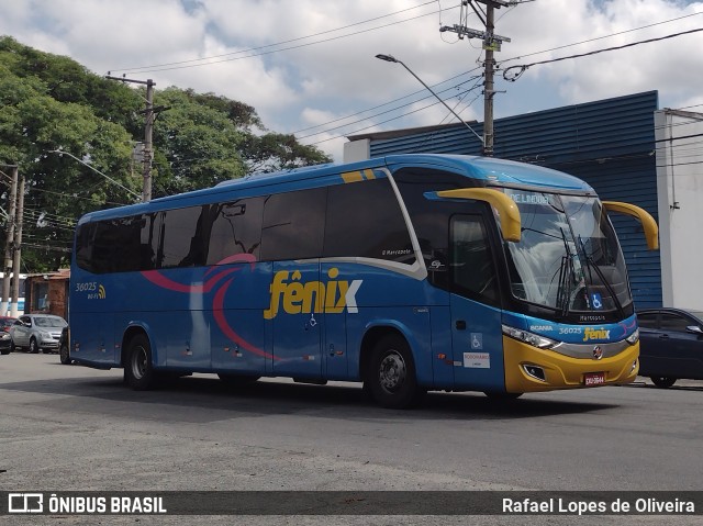 Rápido Expresso Fênix Viação 36025 na cidade de São Paulo, São Paulo, Brasil, por Rafael Lopes de Oliveira. Número da foto: #10688429.