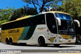 Empresa Gontijo de Transportes 17260 na cidade de São Paulo, São Paulo, Brasil, por José Vitor Oliveira Soares. Número da foto: #10688535.