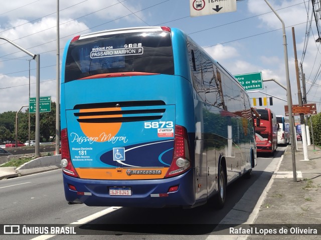 Empresa de Ônibus Pássaro Marron 5873 na cidade de São Paulo, São Paulo, Brasil, por Rafael Lopes de Oliveira. Número da foto: #10691464.