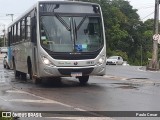Serra Verde 222167 na cidade de Itabira, Minas Gerais, Brasil, por Paulo Cesar. Número da foto: #10691333.