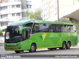 Pássaro Verde 19146 na cidade de Belo Horizonte, Minas Gerais, Brasil, por Adão Raimundo Marcelino. Número da foto: #10694739.