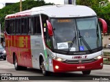 EBT - Expresso Biagini Transportes 4993 na cidade de Belo Horizonte, Minas Gerais, Brasil, por César Ônibus. ID da foto: :id.