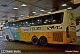 Empresa Gontijo de Transportes 12645 na cidade de Belo Horizonte, Minas Gerais, Brasil, por Eduardo Ribeiro. Número da foto: #10694853.