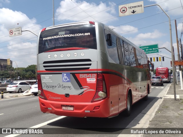 Empresa de Ônibus Pássaro Marron 5642 na cidade de São Paulo, São Paulo, Brasil, por Rafael Lopes de Oliveira. ID da foto: 10696873.