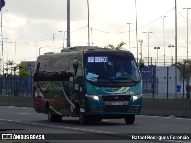 Asa Branca Turismo 20186 na cidade de Jaboatão dos Guararapes, Pernambuco, Brasil, por Rafael Rodrigues Forencio. Número da foto: #10698113.