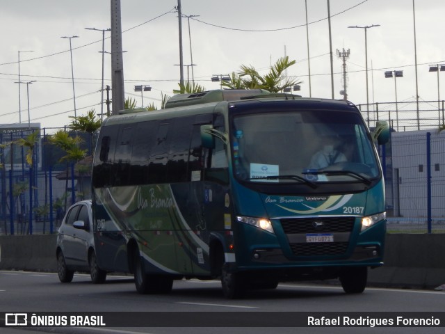 Asa Branca Turismo 20187 na cidade de Jaboatão dos Guararapes, Pernambuco, Brasil, por Rafael Rodrigues Forencio. Número da foto: #10698244.