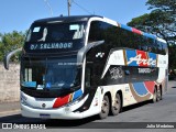 Arte Transportes e Turismo 20000 na cidade de Campinas, São Paulo, Brasil, por Julio Medeiros. Número da foto: #10697604.