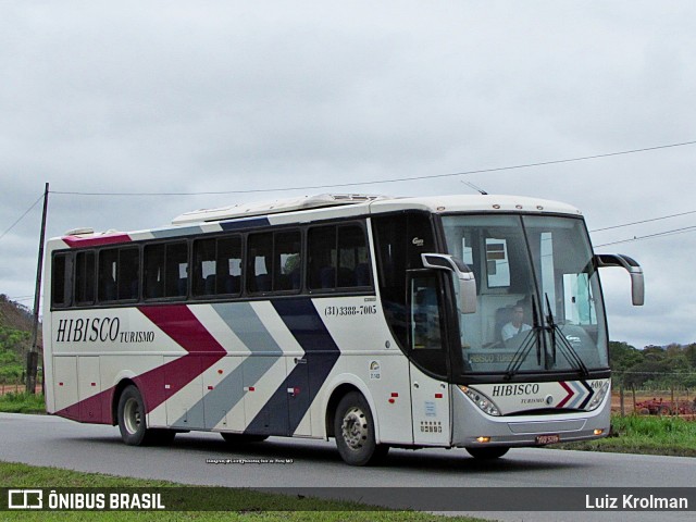 Hibisco Turismo 600 na cidade de Juiz de Fora, Minas Gerais, Brasil, por Luiz Krolman. ID da foto: 10701802.