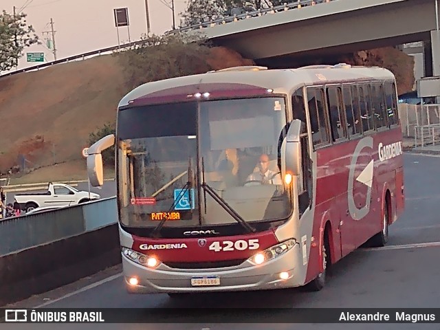 Expresso Gardenia 4205 na cidade de Campinas, São Paulo, Brasil, por Alexandre  Magnus. Número da foto: #10703882.