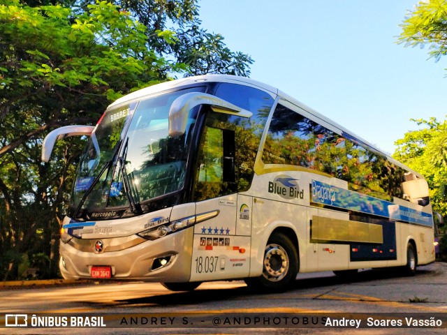 Auto Viação Bragança 18.037 na cidade de São Paulo, São Paulo, Brasil, por Andrey  Soares Vassão. Número da foto: #10707957.