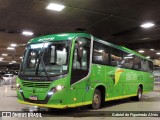 Pássaro Verde 20179 na cidade de Belo Horizonte, Minas Gerais, Brasil, por Gabriel de Figueiredo Alves. Número da foto: #10710542.