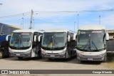Pindatur Transporte e Turismo 2120 na cidade de São Paulo, São Paulo, Brasil, por George Miranda. Número da foto: #:id.