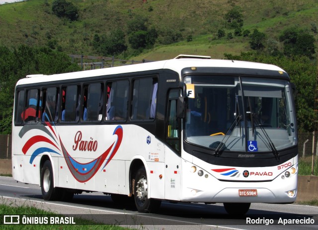 Turismo Pavão 3700 na cidade de Aparecida, São Paulo, Brasil, por Rodrigo  Aparecido. Número da foto: #10716276.