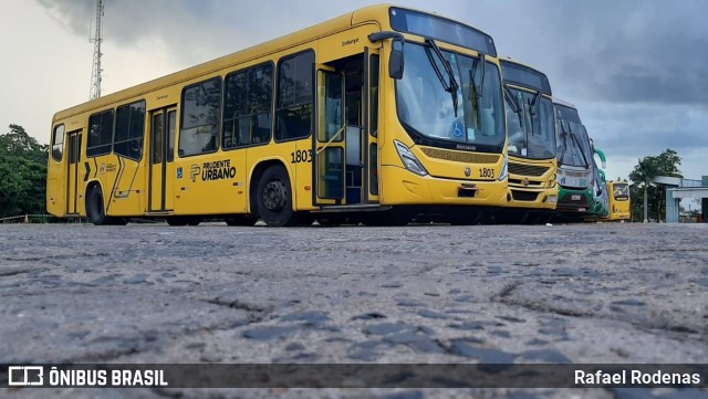Pruden Express 1803 na cidade de Presidente Prudente, São Paulo, Brasil, por Rafael Rodenas. Número da foto: #10625702.