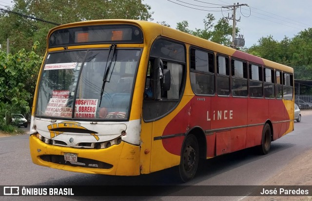Lince 01 na cidade de San Lorenzo, Central, Paraguai, por José Paredes. Número da foto: #10726216.