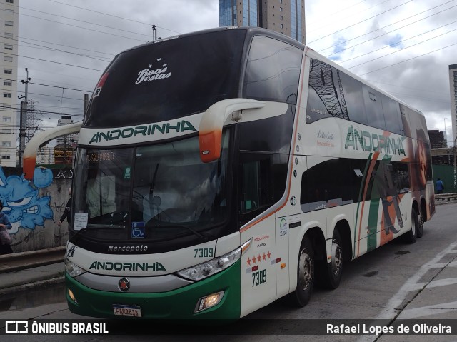 Empresa de Transportes Andorinha 7309 na cidade de São Paulo, São Paulo, Brasil, por Rafael Lopes de Oliveira. ID da foto: 10723335.