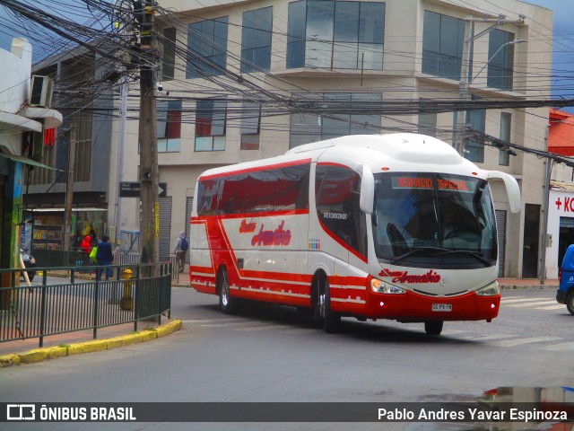 Buses Arancibia 05 na cidade de Santa Cruz, Colchagua, Libertador General Bernardo O'Higgins, Chile, por Pablo Andres Yavar Espinoza. Número da foto: #10631834.